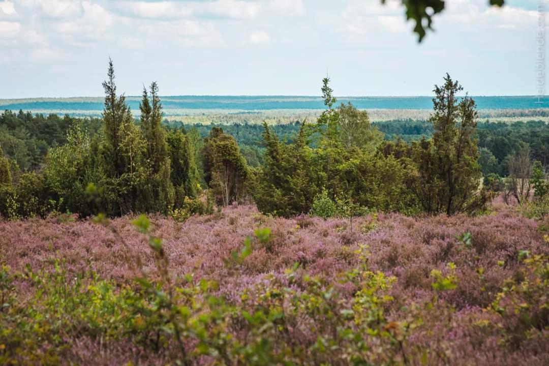 Ferienwohnung Ram 1 Hermannsburg Luaran gambar